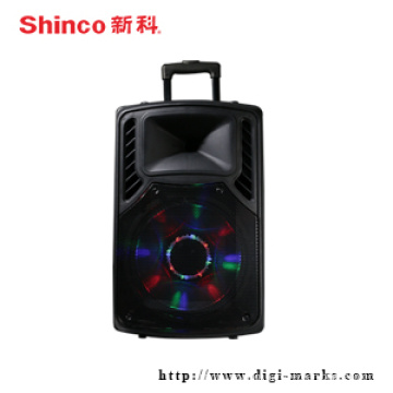 12 15 Inch Promotional Amplifier Stereo Wireless Bluetooth Speaker
